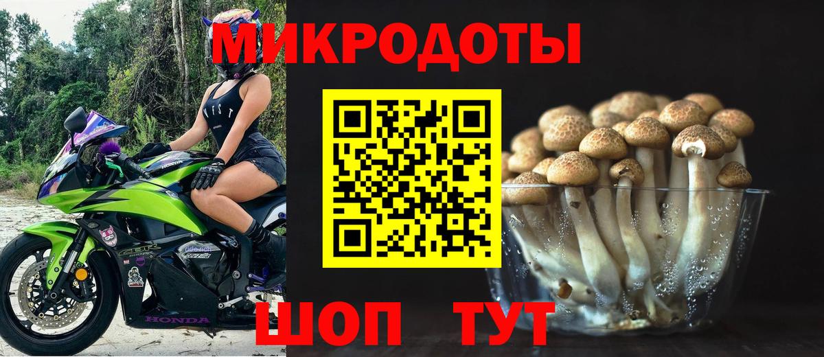 Заводоуковск  Псилоцибиновые грибы Psilocybe  Вход с VPN  сколько стоит  Галлюциногенные грибы Psilocybe 