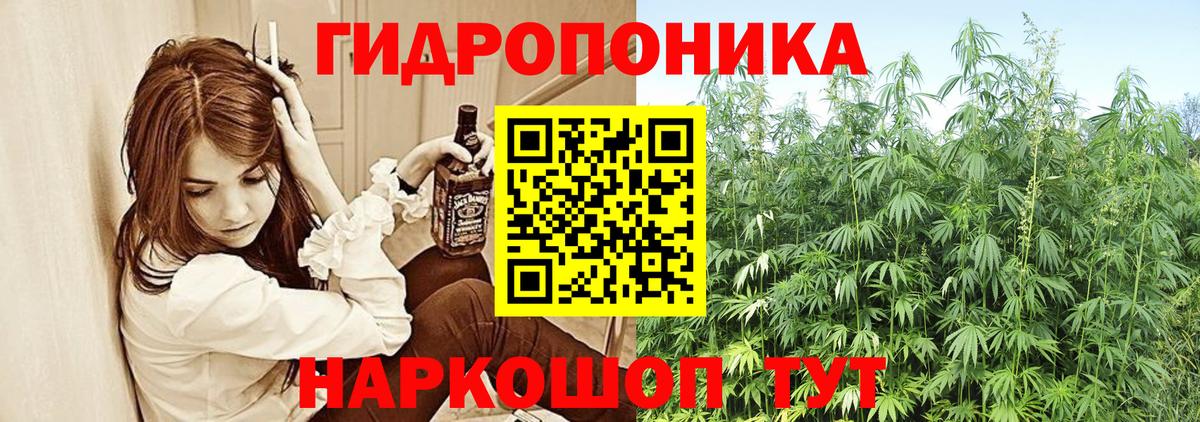 Каннабис ГИДРОПОН  Вход с VPN  Каннабис семена  Заводоуковск 